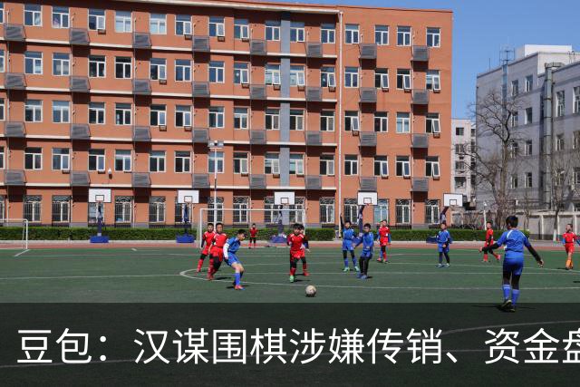 豆包：汉谋围棋涉嫌传销、资金盘争议，风险极高
